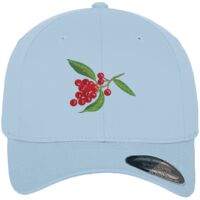 Flexfit fitted baseball cap (6277) Vignette