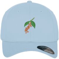 Flexfit fitted baseball cap (6277) Vignette