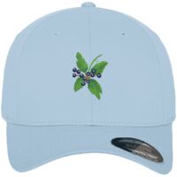 Flexfit fitted baseball cap (6277) Vignette
