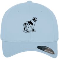Flexfit fitted baseball cap (6277) Vignette