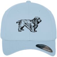 Flexfit fitted baseball cap (6277) Vignette