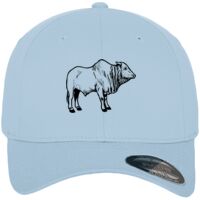 Flexfit fitted baseball cap (6277) Vignette