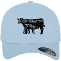 Flexfit fitted baseball cap (6277) Vignette