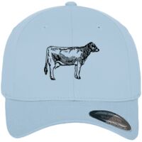 Flexfit fitted baseball cap (6277) Vignette