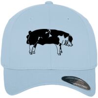 Flexfit fitted baseball cap (6277) Vignette