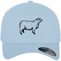 Flexfit fitted baseball cap (6277) Vignette