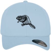 Flexfit fitted baseball cap (6277) Vignette