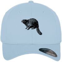 Flexfit fitted baseball cap (6277) Vignette
