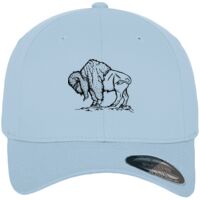 Flexfit fitted baseball cap (6277) Vignette