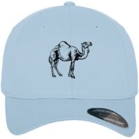 Flexfit fitted baseball cap (6277) Vignette
