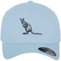 Flexfit fitted baseball cap (6277) Vignette