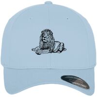 Flexfit fitted baseball cap (6277) Vignette
