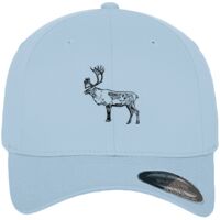 Flexfit fitted baseball cap (6277) Vignette