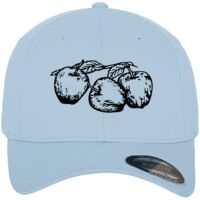 Flexfit fitted baseball cap (6277) Vignette