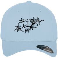 Flexfit fitted baseball cap (6277) Vignette
