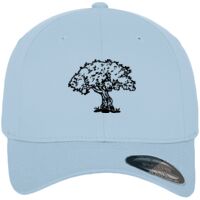 Flexfit fitted baseball cap (6277) Vignette
