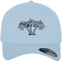 Flexfit fitted baseball cap (6277) Vignette