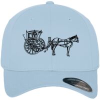 Flexfit fitted baseball cap (6277) Vignette