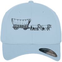 Flexfit fitted baseball cap (6277) Vignette