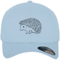 Flexfit fitted baseball cap (6277) Vignette