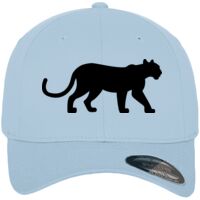 Flexfit fitted baseball cap (6277) Vignette