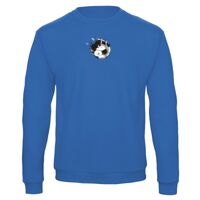 Sweat-shirt de qualité, 50% coton 50% polyster, de marque B&C Collection Vignette