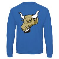 Sweat-shirt de qualité, 50% coton 50% polyster, de marque B&C Collection Vignette