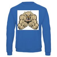 Sweat-shirt de qualité, 50% coton 50% polyster, de marque B&C Collection Vignette