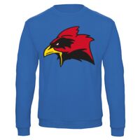 Sweat-shirt de qualité, 50% coton 50% polyster, de marque B&C Collection Vignette