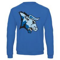 Sweat-shirt de qualité, 50% coton 50% polyster, de marque B&C Collection Vignette