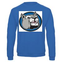 Sweat-shirt de qualité, 50% coton 50% polyster, de marque B&C Collection Vignette