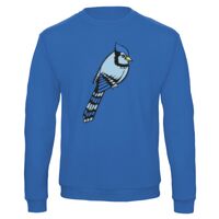 Sweat-shirt de qualité, 50% coton 50% polyster, de marque B&C Collection Vignette