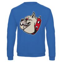 Sweat-shirt de qualité, 50% coton 50% polyster, de marque B&C Collection Vignette