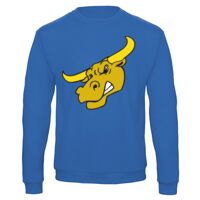 Sweat-shirt de qualité, 50% coton 50% polyster, de marque B&C Collection Vignette