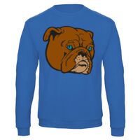 Sweat-shirt de qualité, 50% coton 50% polyster, de marque B&C Collection Vignette