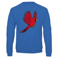 Sweat-shirt de qualité, 50% coton 50% polyster, de marque B&C Collection Vignette