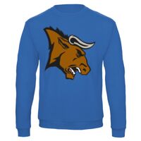 Sweat-shirt de qualité, 50% coton 50% polyster, de marque B&C Collection Vignette