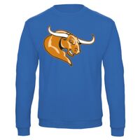 Sweat-shirt de qualité, 50% coton 50% polyster, de marque B&C Collection Vignette