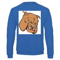 Sweat-shirt de qualité, 50% coton 50% polyster, de marque B&C Collection Vignette