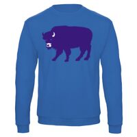 Sweat-shirt de qualité, 50% coton 50% polyster, de marque B&C Collection Vignette