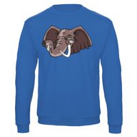 Sweat-shirt de qualité, 50% coton 50% polyster, de marque B&C Collection Vignette