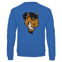 Sweat-shirt de qualité, 50% coton 50% polyster, de marque B&C Collection Vignette