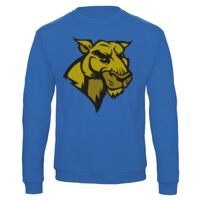 Sweat-shirt de qualité, 50% coton 50% polyster, de marque B&C Collection Vignette