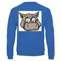 Sweat-shirt de qualité, 50% coton 50% polyster, de marque B&C Collection Vignette