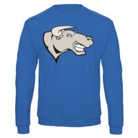 Sweat-shirt de qualité, 50% coton 50% polyster, de marque B&C Collection Vignette