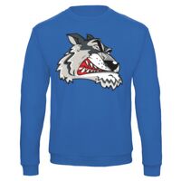 Sweat-shirt de qualité, 50% coton 50% polyster, de marque B&C Collection Vignette