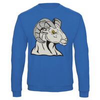 Sweat-shirt de qualité, 50% coton 50% polyster, de marque B&C Collection Vignette