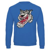 Sweat-shirt de qualité, 50% coton 50% polyster, de marque B&C Collection Vignette