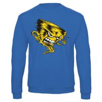 Sweat-shirt de qualité, 50% coton 50% polyster, de marque B&C Collection Vignette