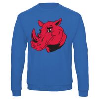 Sweat-shirt de qualité, 50% coton 50% polyster, de marque B&C Collection Vignette